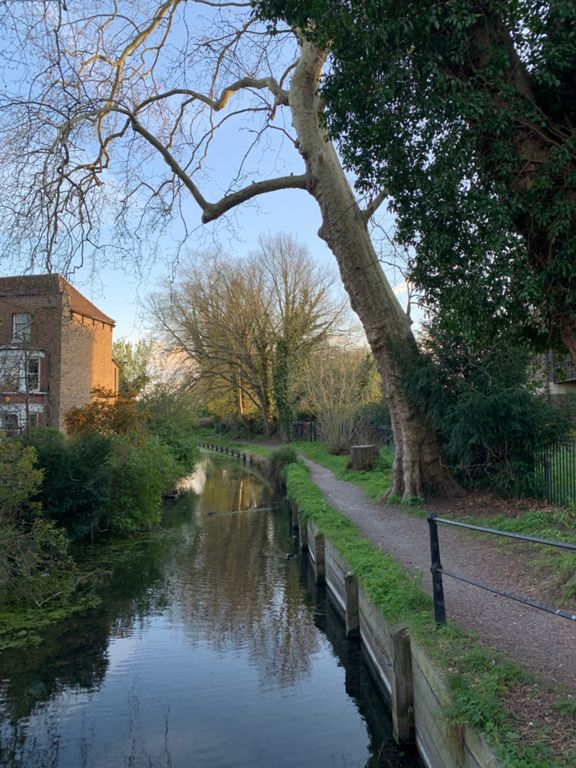 Watton RoadKentish LaneHadley Road 58.6 mi Cycling Route on Strava