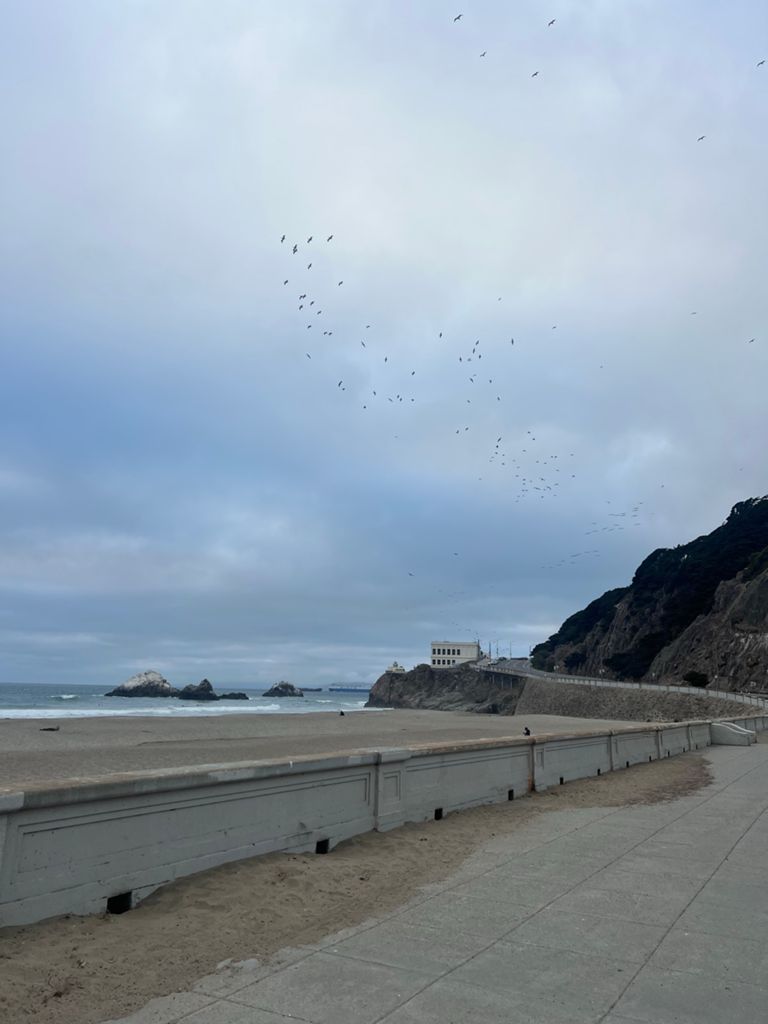 Butterlap (Presidio & Golden Gate Park)的照片 147