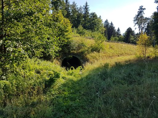 offizieller Wanderweg 😂