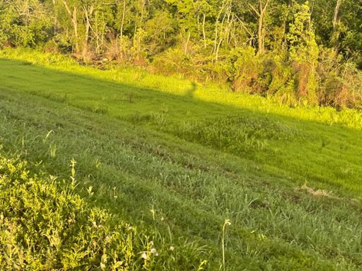 That’s the shadow of the levee plus my bike shadow riding along the top