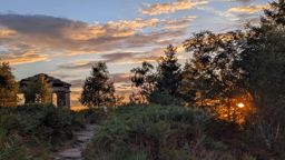 Magic sunset au Donon