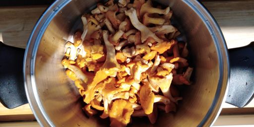 Kurtki na sosik po treningu 😀🚴‍♂️🍺