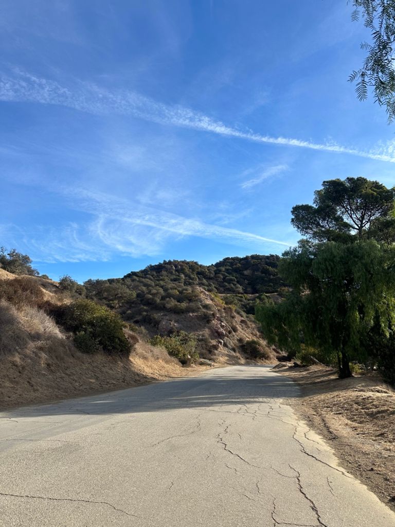 NBB run - Lake Hollywood: фото 121