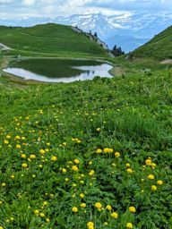 Leysin rando ferrata