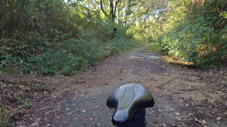 いや～、なかなかの斜度でした😂