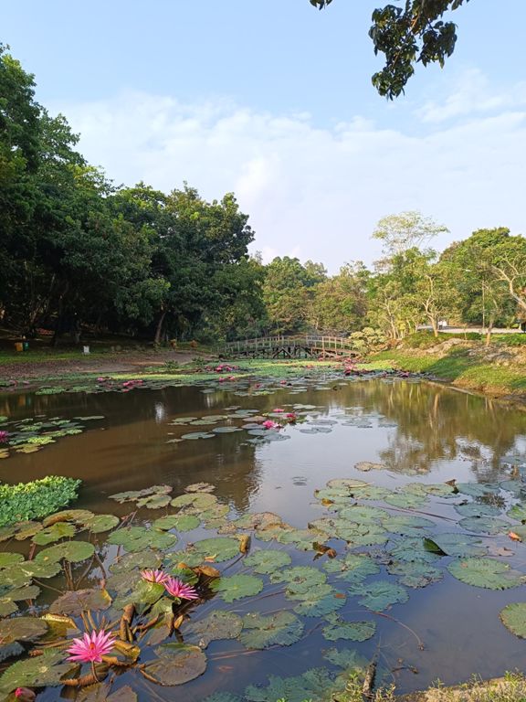 Run To Sustain 5k 5 2 Km Running Route On Strava Run To Sustain 5k 5 2 Km Running Route On Strava