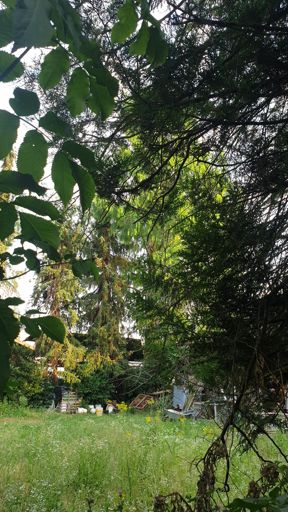 Kriftel_ID_22750_UM_Frankfurter Str. 24