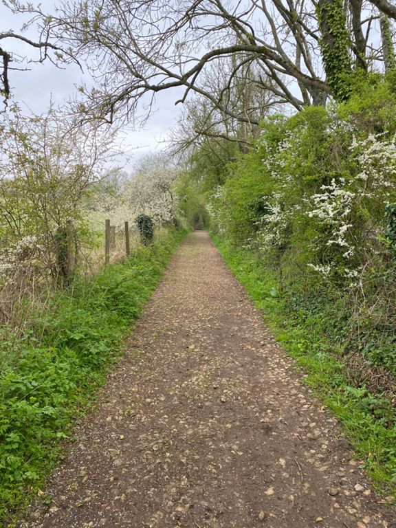 Birdlip loop offroad 30.5 km Cycling Route on Strava