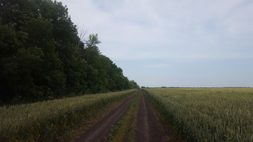 Дорога на Стебаево