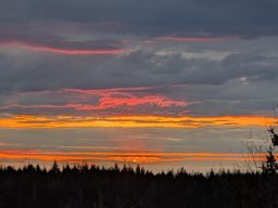 Sortie VTT en soirée