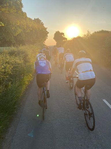 Chase The Sun… 🌳 🌞