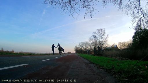 Wat een schijterd. Nou, stilstaan, licht uit, rustig praten en dan kan 'ie het wel.