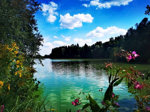 Kulinarik am See KOI