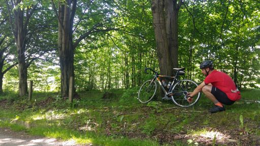 Prawie jak na dżiro