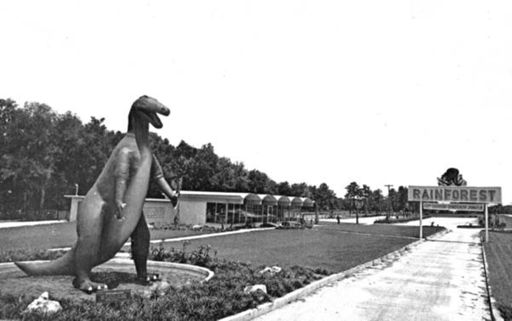 Here's the entrance to The Rainforest. About the only thing that remains is the road and parking area and I'm not sure about that.
