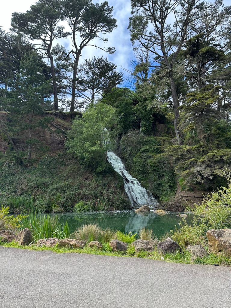 Butterlap (Presidio & Golden Gate Park) photo 1