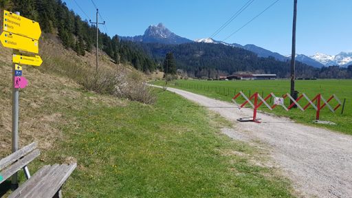 leider war der fürstensteig gesperrt....