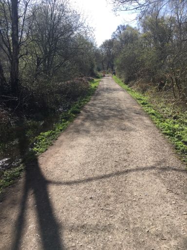 Sector 1: Bookham Common