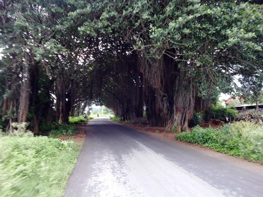 Familar sight..maralwadi rd