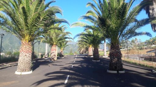 Última recta de la Urbanización La Grama  🌴🌴