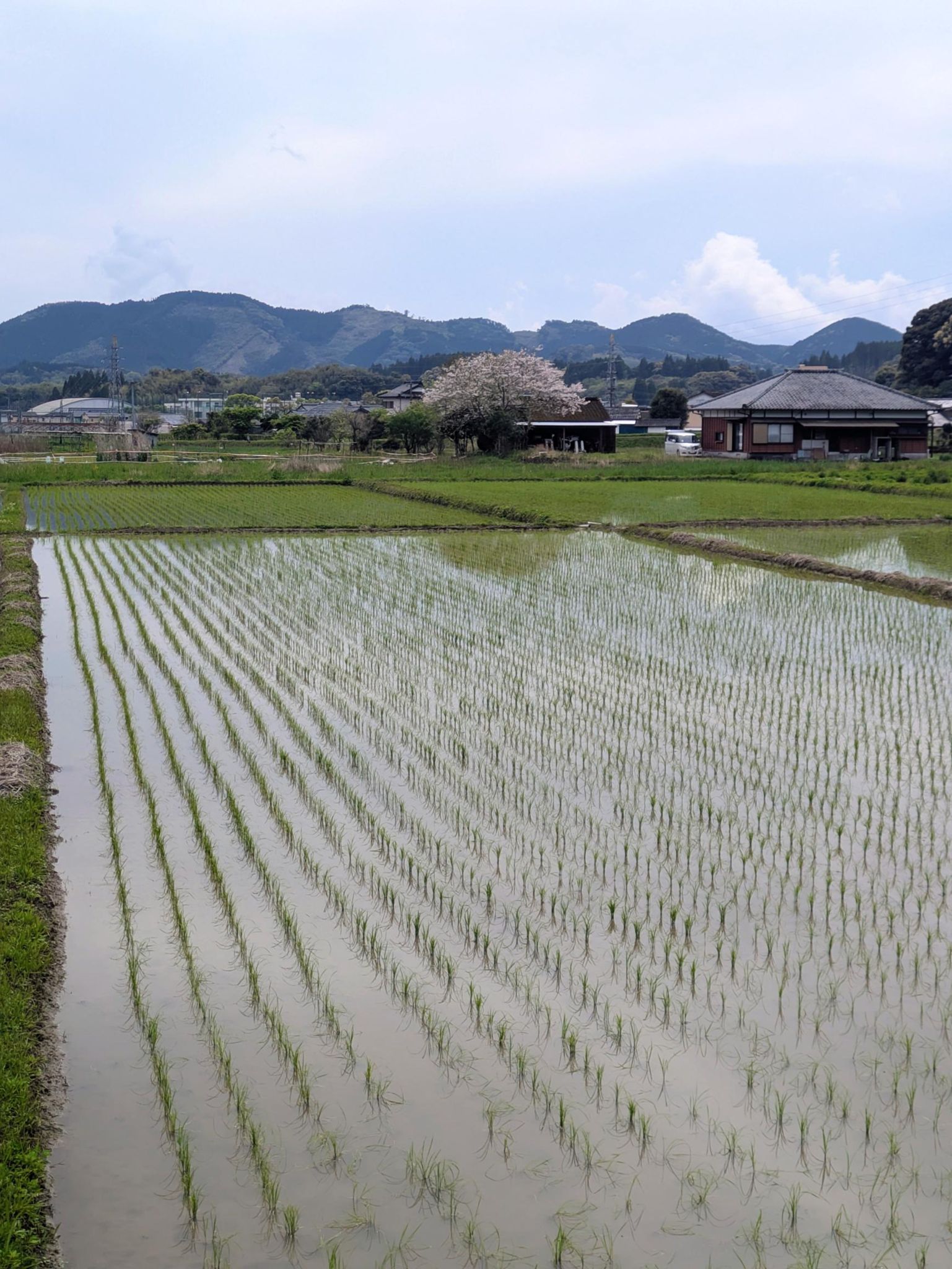 Run | 2026-04-07_run27m21s4_84km