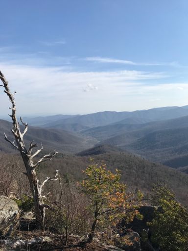 Robertson Mountain View 1