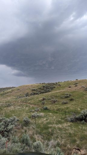 Took this right before I started my run thinking "oh, it might rain a bit. Whatevs."
