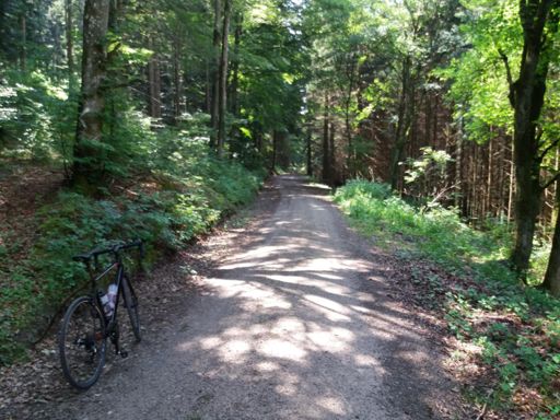 Gravelly bike path near Haiterbach - no problem for the Dark Horse :-)