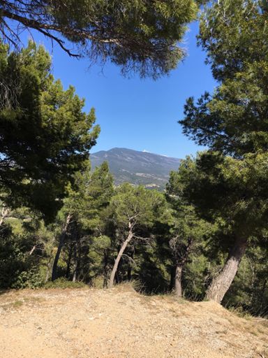 Blick auf den Mont Ventoux