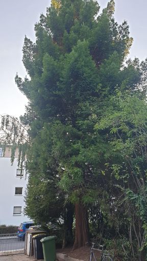 Frankfurt_ID22844_KM_Landgraf-Philipp-Straße 63