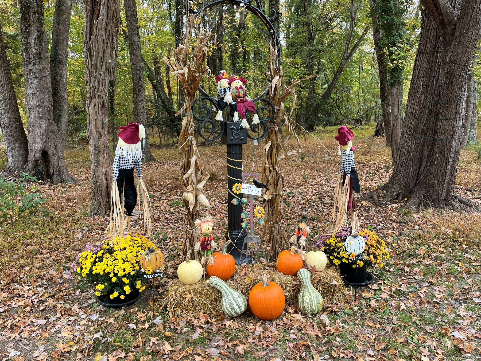 Fall decorations on Fenwick at McCrea