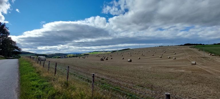 Photo of beautiful colours and differing landscapes, taken from a 100m hillock north of Craigies Wood