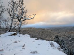 Balade dans la neigr