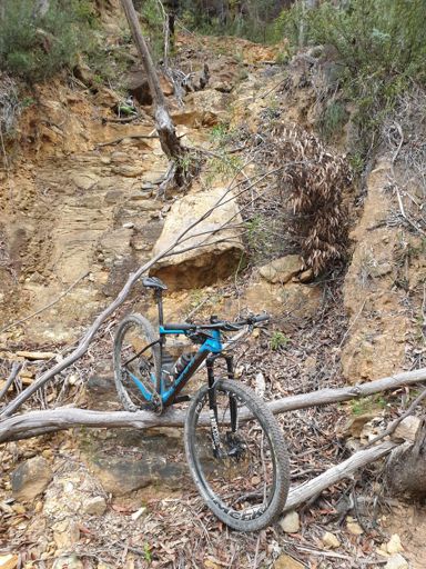 Hardtail was a bit out of its element here