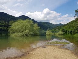 Wildenstein au Rainkopf