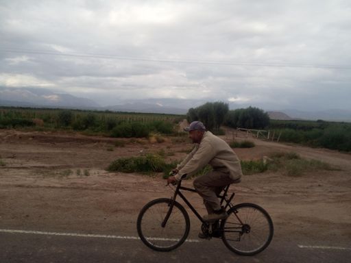 Enrique fährt täglich die 20km zur Finca