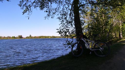 Всем привет. Выехали да и поехали куда глаза глядят. На запад, в Петергоф. Ветер был попутный и очень сильный, так что долетели до озёр на одном дыхании, в темпе 30-32.