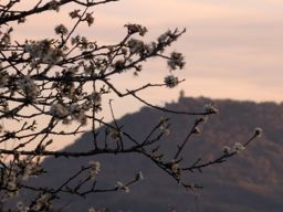 Sunset Rammstein Ortenbourg