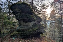 divagation à st Quirin