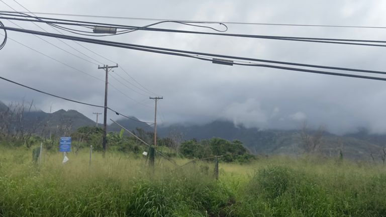 From beach to top of the mountain