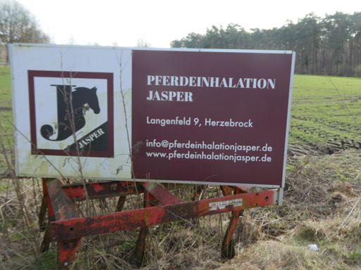 Wie inhaliert man Pferde?