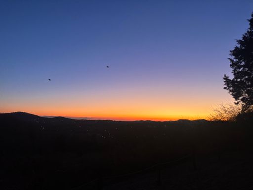 Smith Park sunrise, 1/19/26