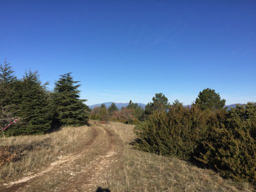 le Mont Ventoux au fond