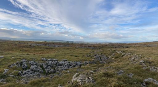 The bay in the far distance