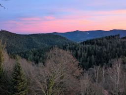 Back home, bonne année !