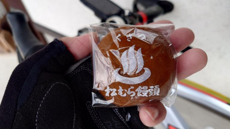 代わりに温泉まんじゅう😋