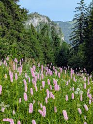 Crêtes au dessus du Schwarzsee : Fochsenflue et Chörblispitz