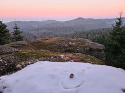 Sortie à vélo l’après-midi