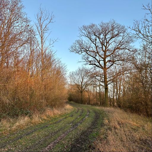 Perhaps 🤔 it’ll be muddy through here …