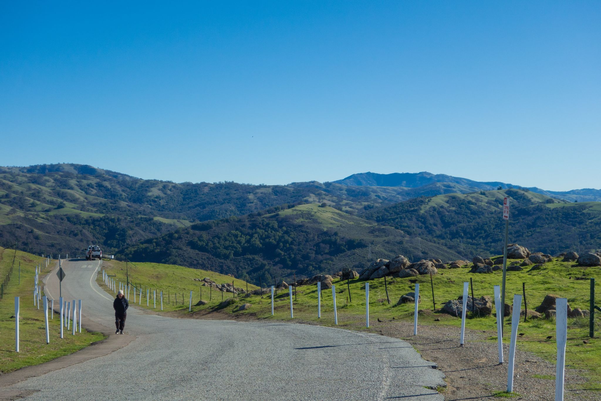 Mount Hamilton from Sierra Vista Open Space.